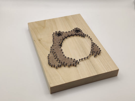 Matsumoto Hoji's Frog