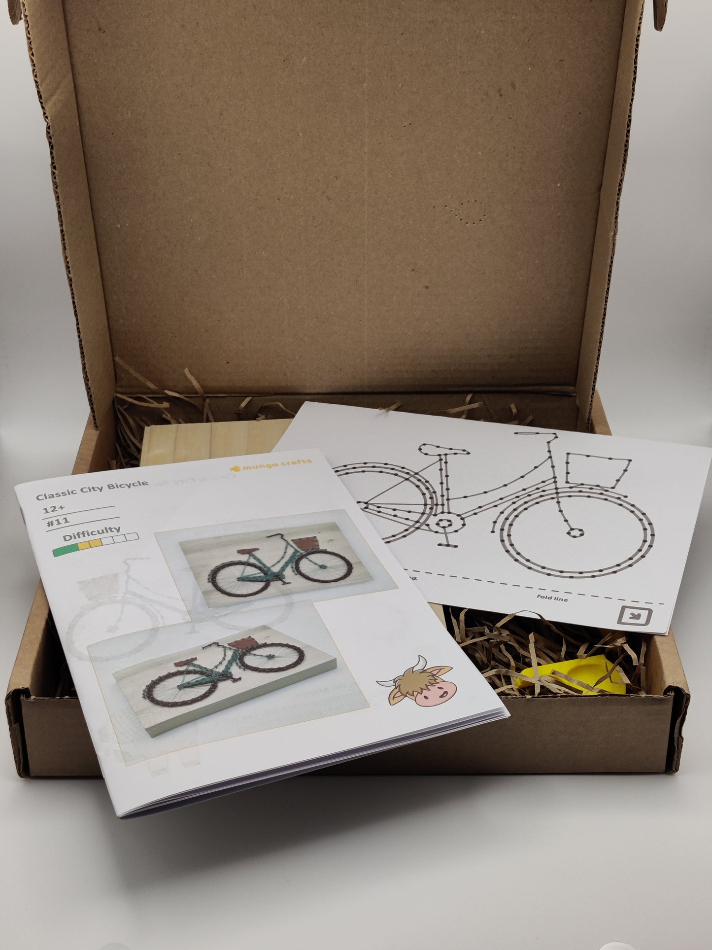 Classic City Bicycle