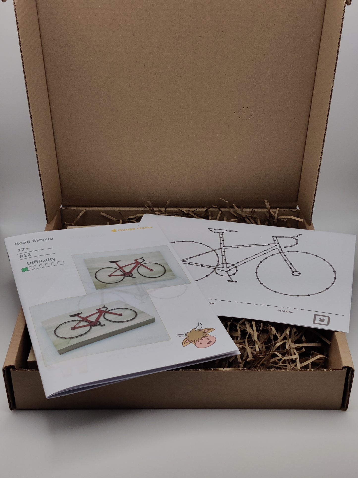 Road Bicycle