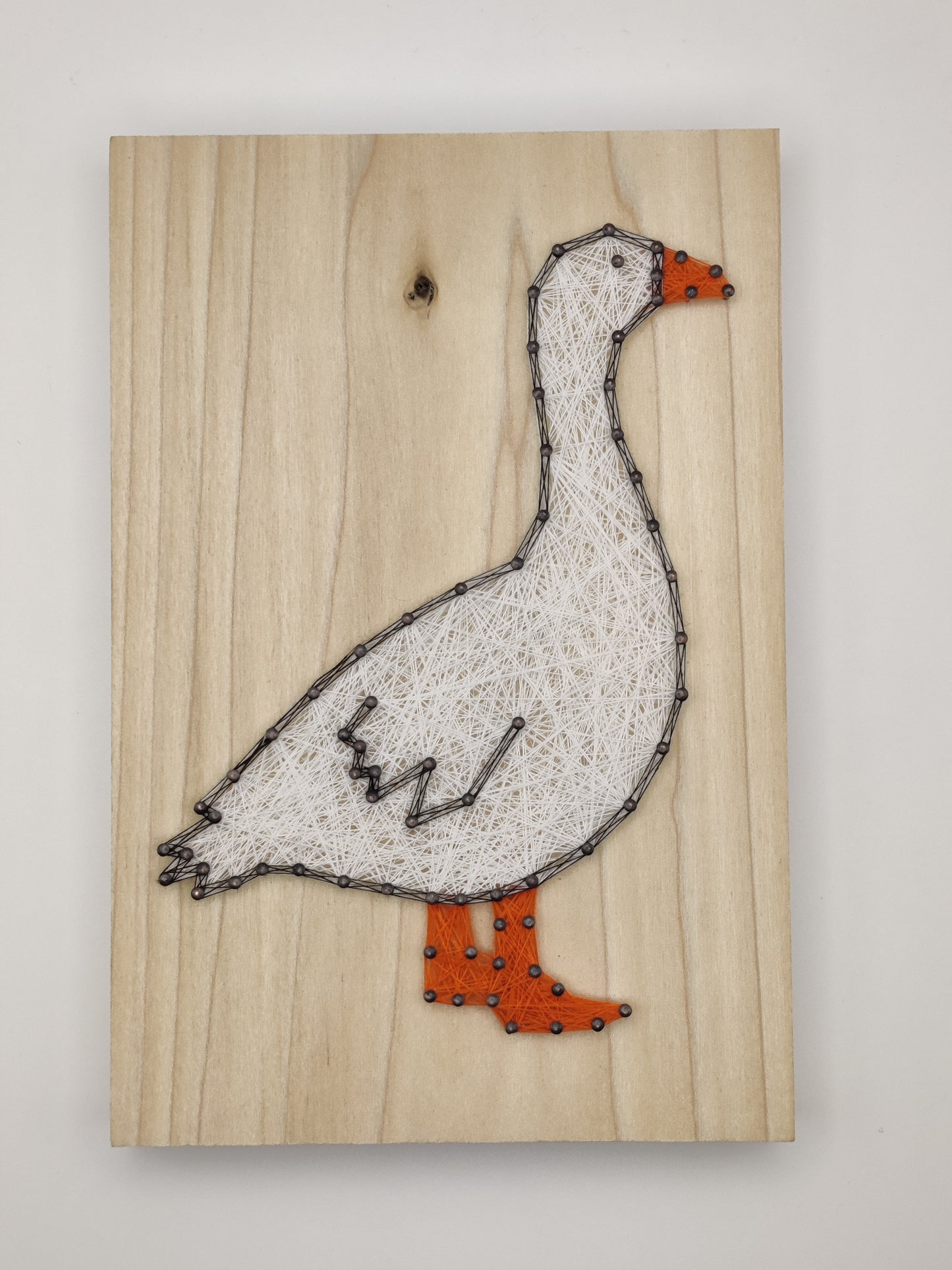 Embden Goose