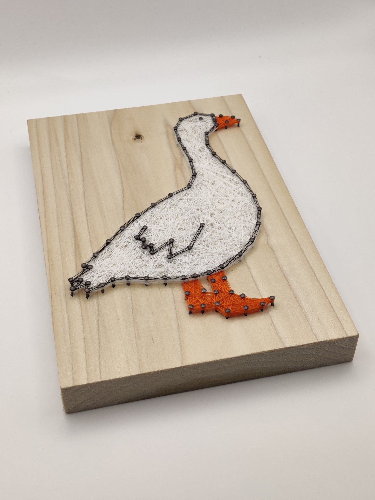 Embden Goose