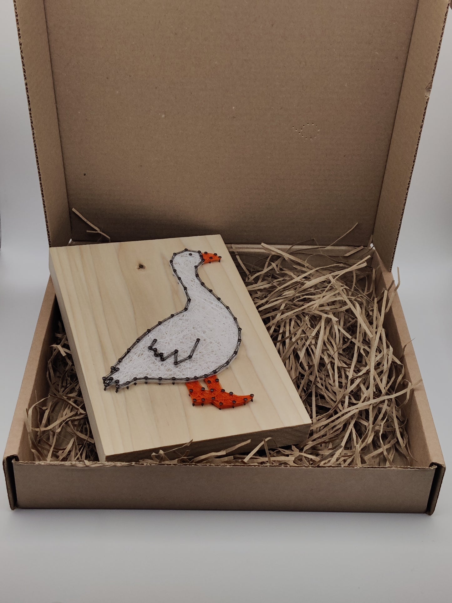 Embden Goose