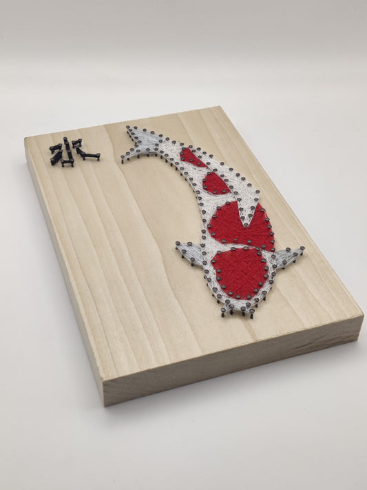 Kohaku Koi